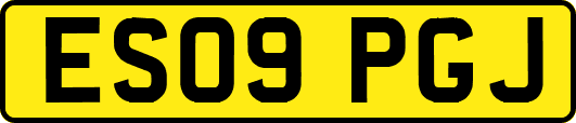 ES09PGJ