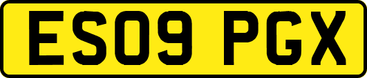 ES09PGX