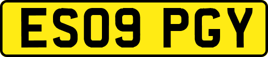 ES09PGY
