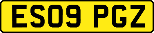 ES09PGZ