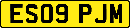 ES09PJM
