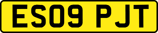 ES09PJT