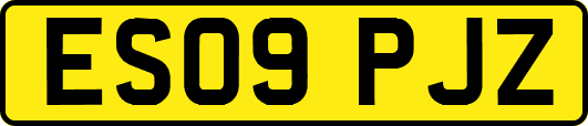 ES09PJZ