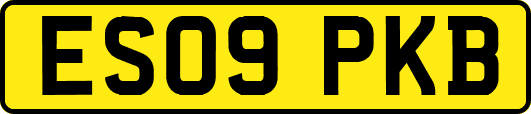 ES09PKB