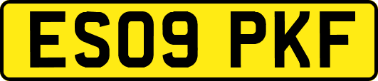 ES09PKF