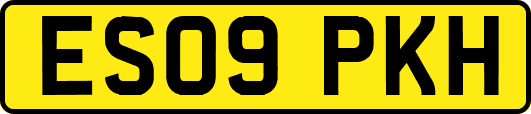 ES09PKH