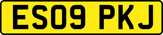 ES09PKJ