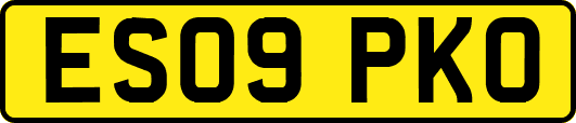 ES09PKO