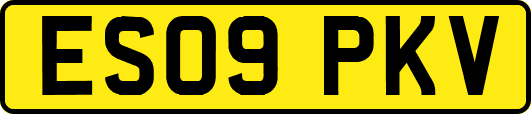 ES09PKV