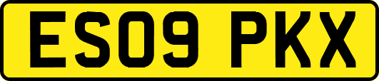 ES09PKX