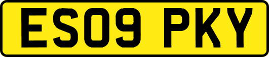 ES09PKY