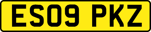ES09PKZ