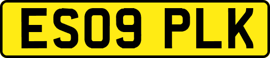 ES09PLK