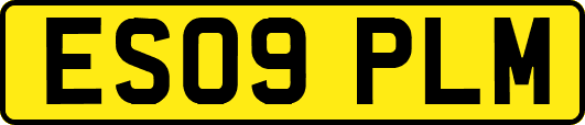 ES09PLM