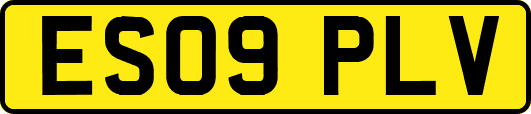 ES09PLV