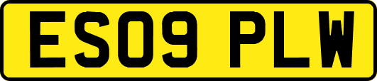 ES09PLW