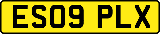 ES09PLX