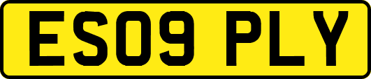ES09PLY