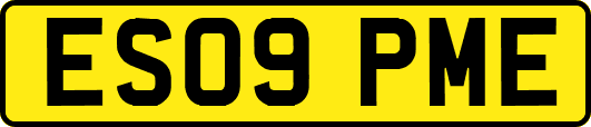 ES09PME