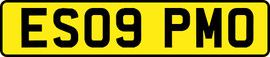 ES09PMO