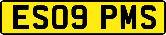ES09PMS