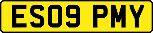 ES09PMY
