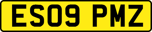 ES09PMZ