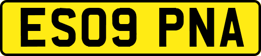 ES09PNA