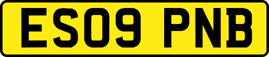 ES09PNB