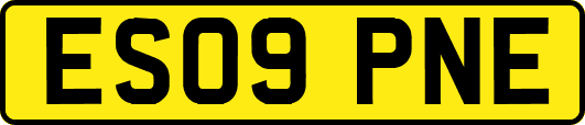 ES09PNE