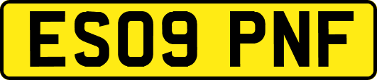 ES09PNF