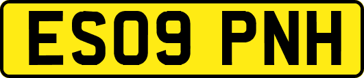 ES09PNH