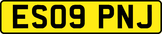 ES09PNJ