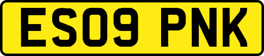 ES09PNK