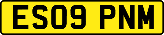 ES09PNM