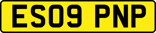 ES09PNP