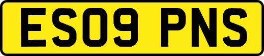 ES09PNS
