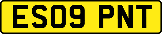 ES09PNT