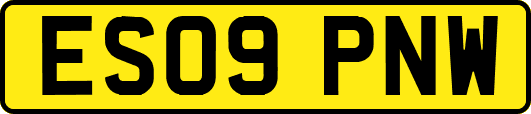 ES09PNW