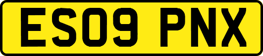 ES09PNX