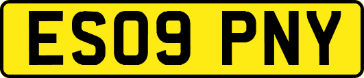 ES09PNY