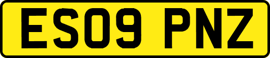 ES09PNZ
