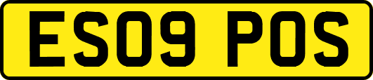ES09POS