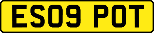 ES09POT