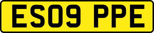ES09PPE