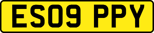 ES09PPY