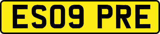 ES09PRE