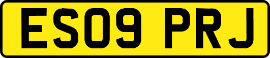 ES09PRJ