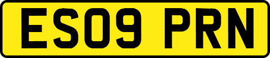 ES09PRN