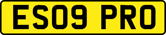 ES09PRO